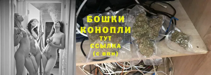 Бошки Шишки White Widow  купить   Братск 